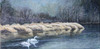 Swans on Shuswap; oil on canvas